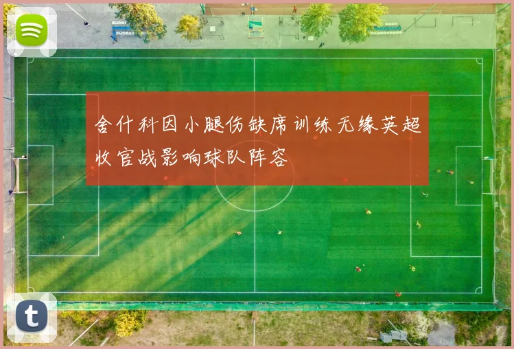 舍什科因小腿伤缺席训练无缘英超收官战影响球队阵容